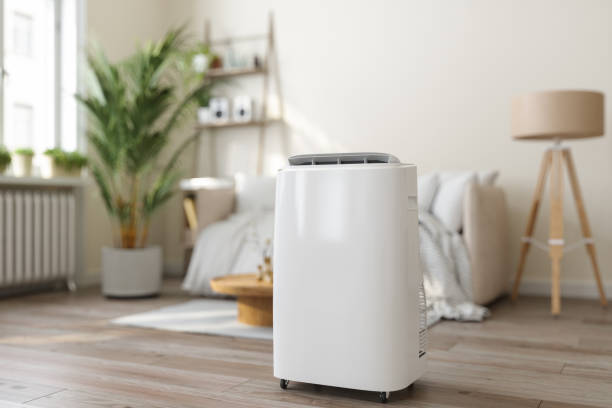 Best Ductless HVAC Repair  in Neillsville, WI